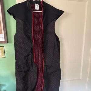 Disney Adult Halloween costume